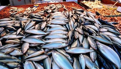 淡水水產(chǎn)品種類概覽