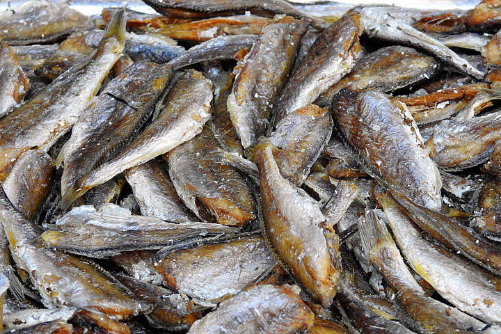 海鮮水產(chǎn) 營(yíng)養(yǎng)與美味的海洋饋贈(zèng)