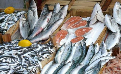 水產(chǎn)品 海洋與河流的饋贈(zèng)